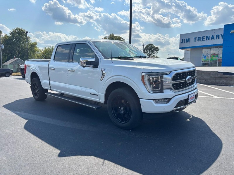Ford F-150 Vehicle Image 02