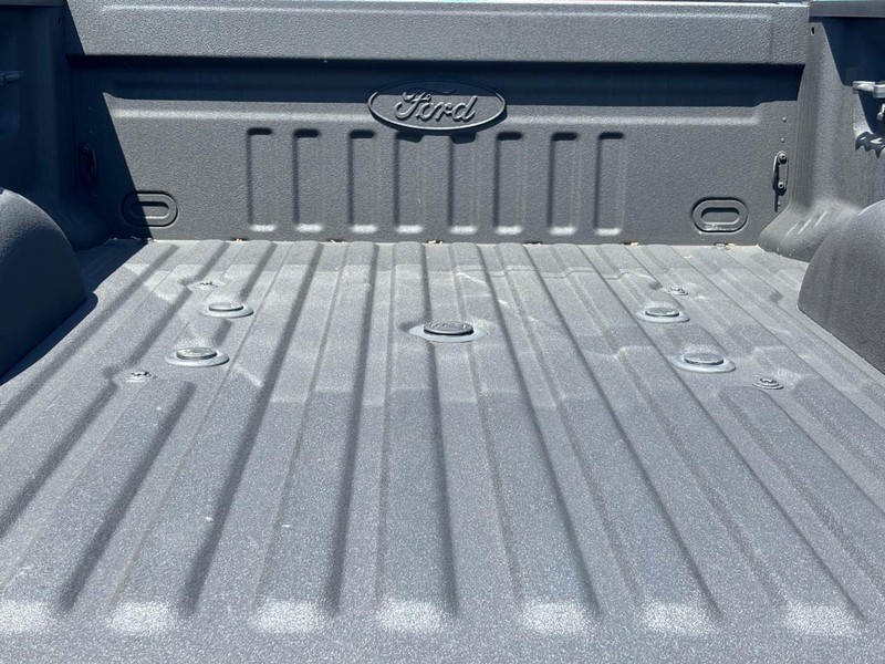 Ford Super Duty F-250 SRW Vehicle Image 04