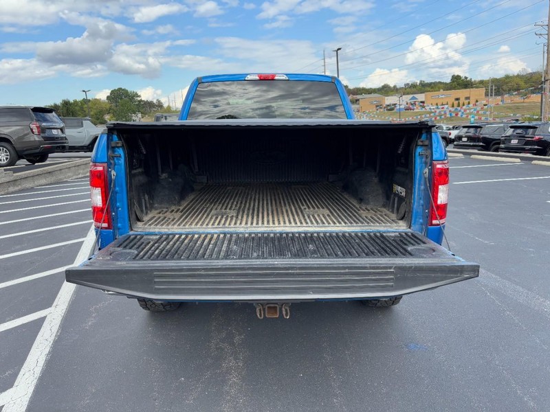 Ford F-150 Vehicle Image 04