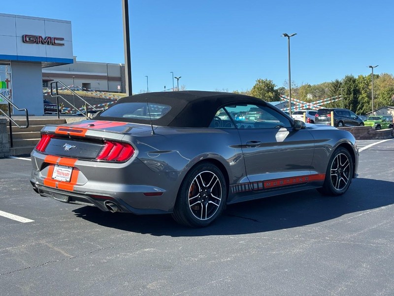 Ford Mustang Vehicle Image 03
