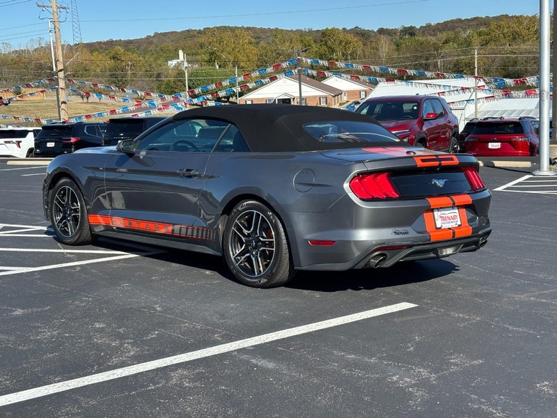 Ford Mustang Vehicle Image 06