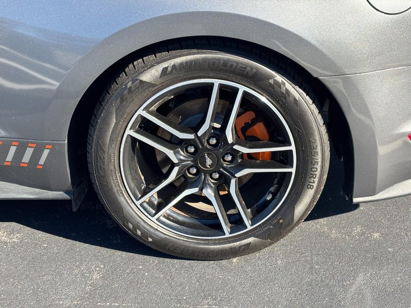 Ford Mustang Vehicle Image 07