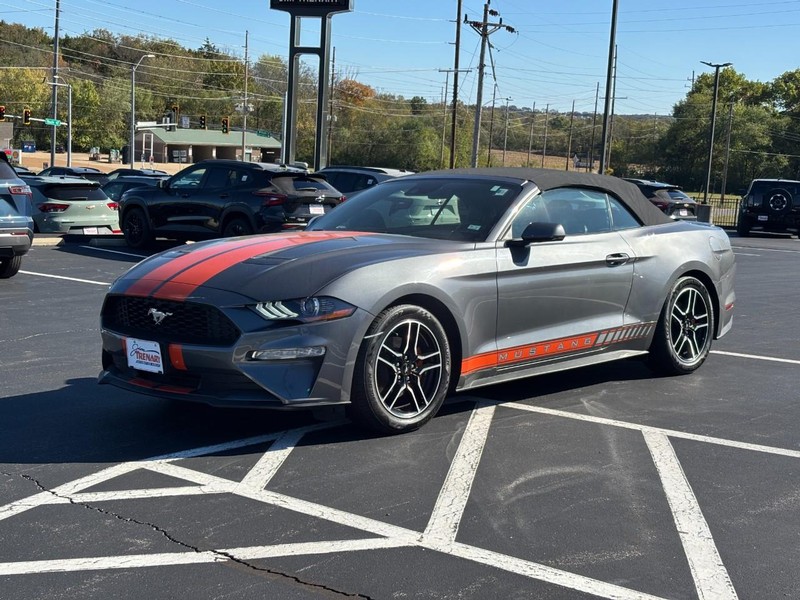 Ford Mustang Vehicle Image 08