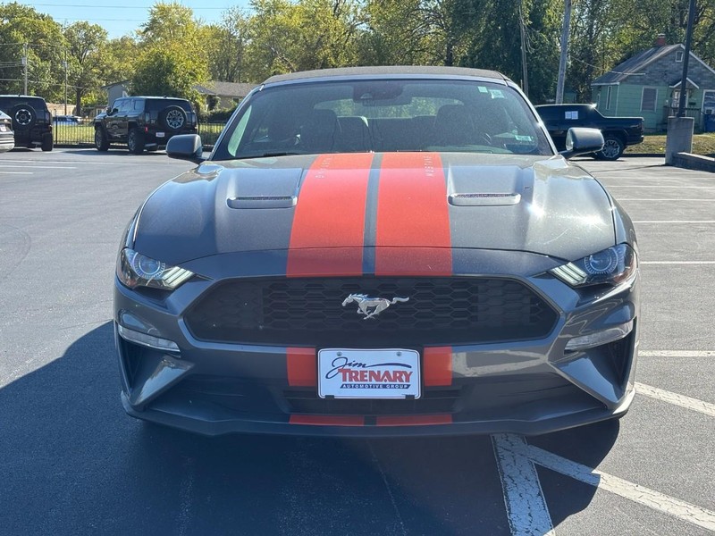 Ford Mustang Vehicle Image 09