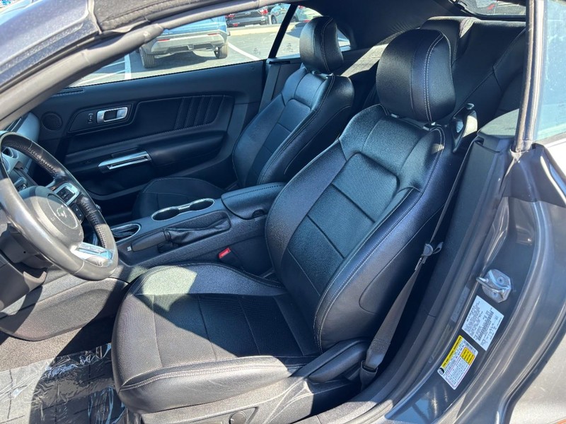 Ford Mustang Vehicle Image 11