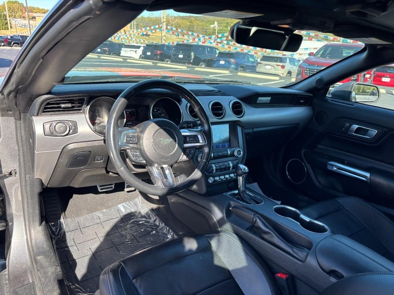 Ford Mustang Vehicle Image 12