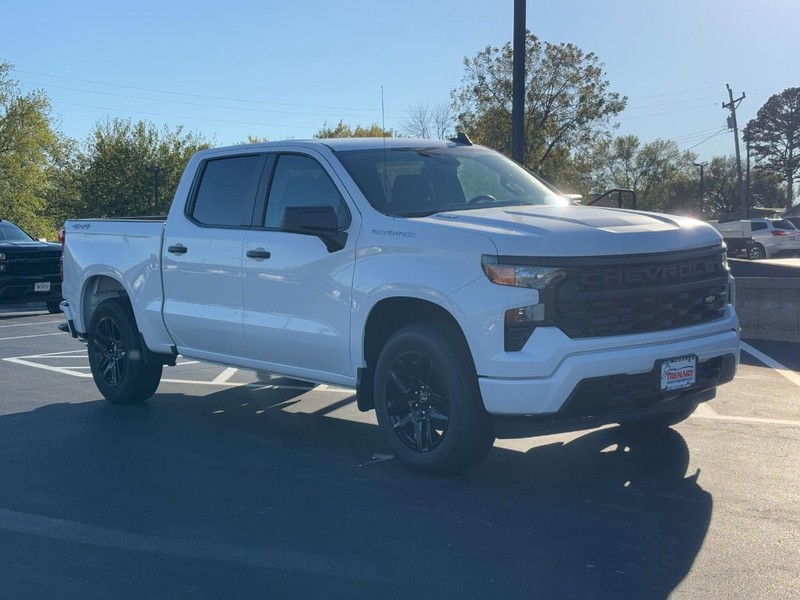 Chevrolet Silverado 1500 Vehicle Image 02