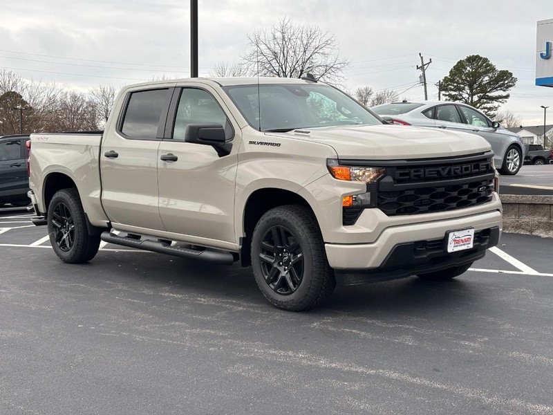 Chevrolet Silverado 1500 Vehicle Image 02