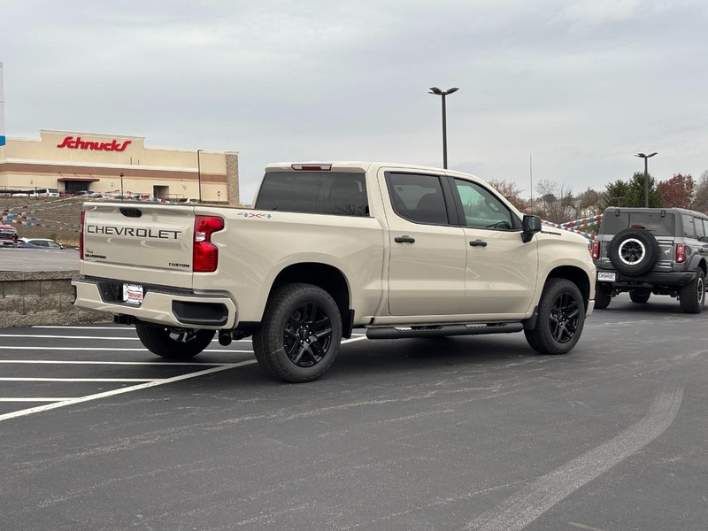 Chevrolet Silverado 1500 Vehicle Image 04