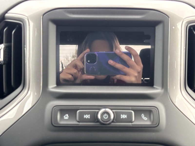 Chevrolet Silverado 1500 Vehicle Image 09