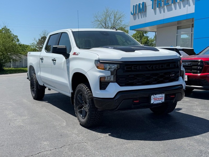 Chevrolet Silverado 1500 Vehicle Image 02