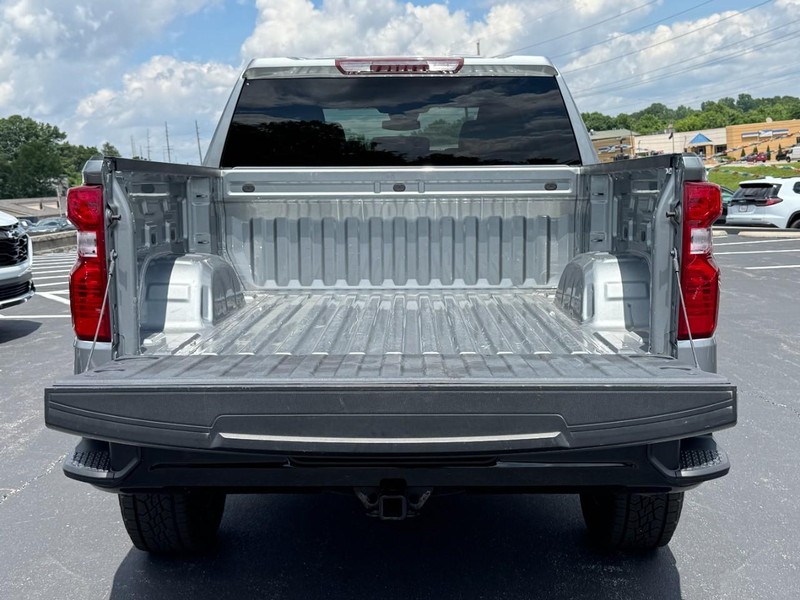 Chevrolet Silverado 1500 Vehicle Image 05