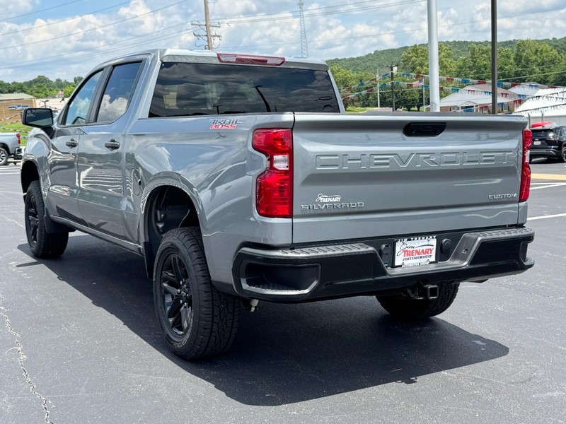 Chevrolet Silverado 1500 Vehicle Image 06
