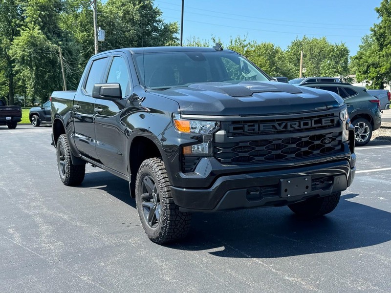Chevrolet Silverado 1500 Vehicle Image 02