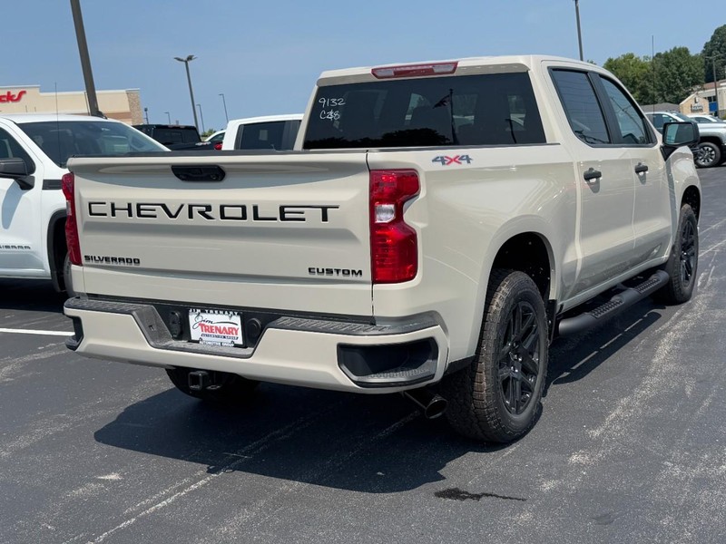 Chevrolet Silverado 1500 Vehicle Image 04