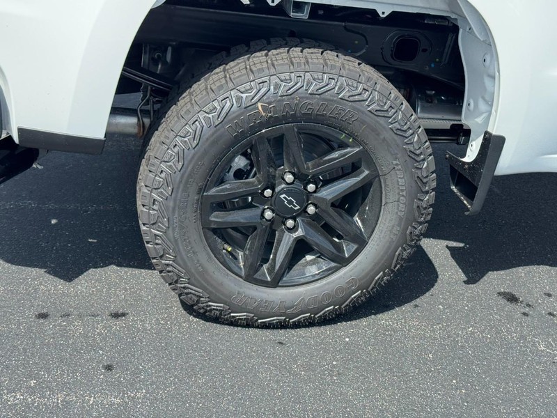 Chevrolet Silverado 1500 Vehicle Image 05