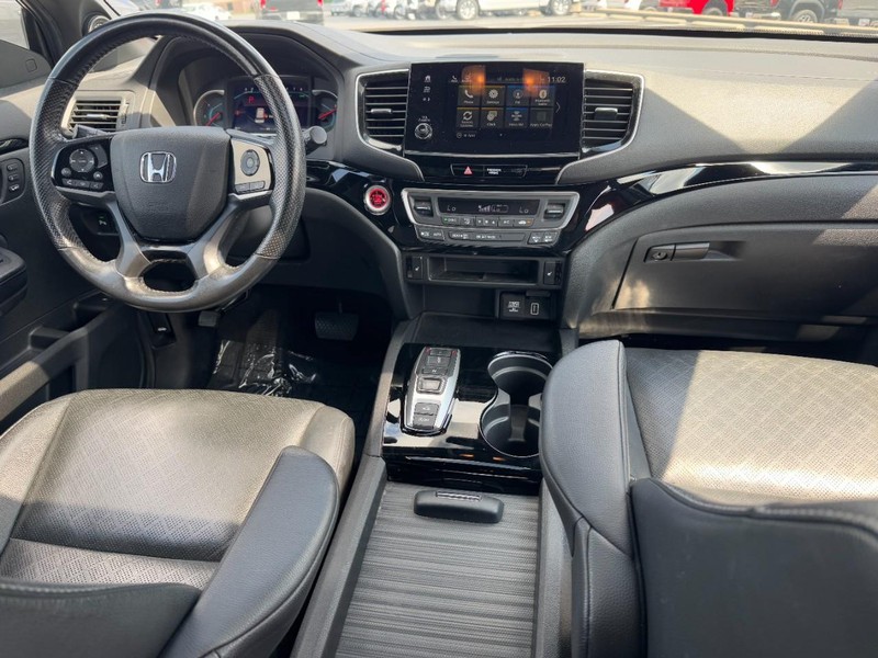 Honda Passport Vehicle Image 11