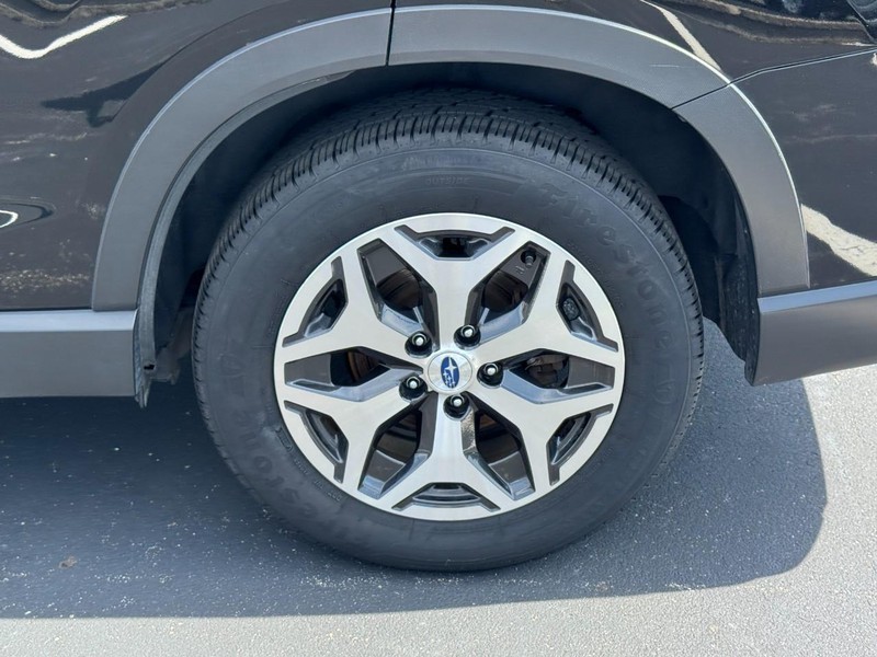 Subaru Forester Vehicle Image 07