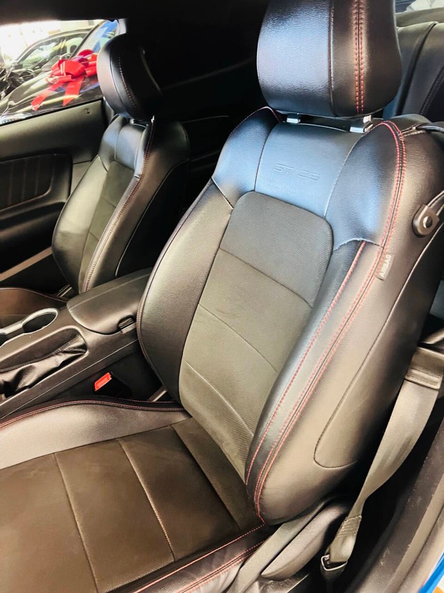 Ford Mustang Vehicle Full-screen Gallery Image 23