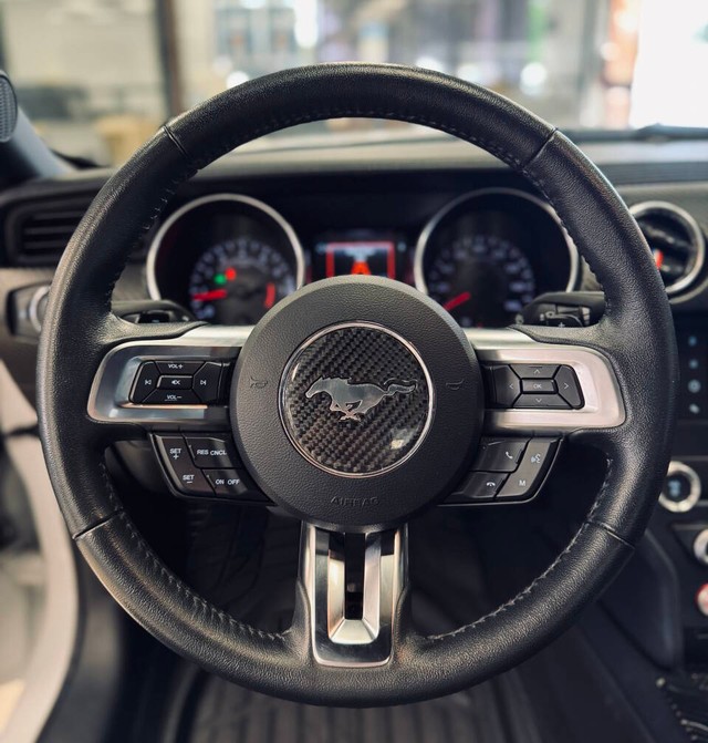 Ford Mustang Vehicle Full-screen Gallery Image 09