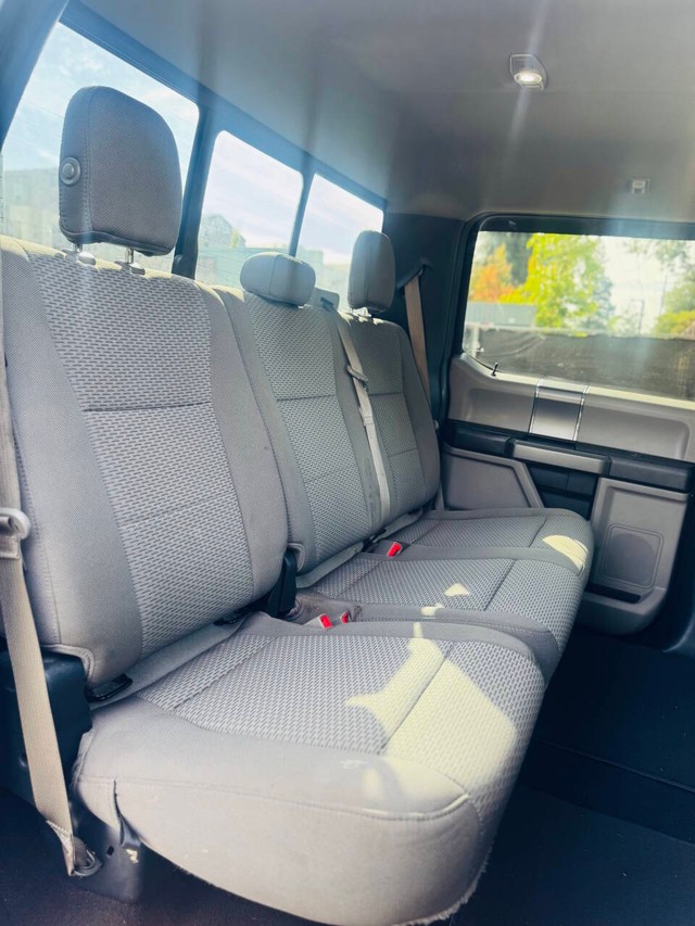 Ford F-150 Vehicle Full-screen Gallery Image 16