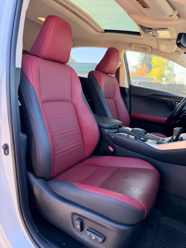 Lexus NX Vehicle Full-screen Gallery Image 14