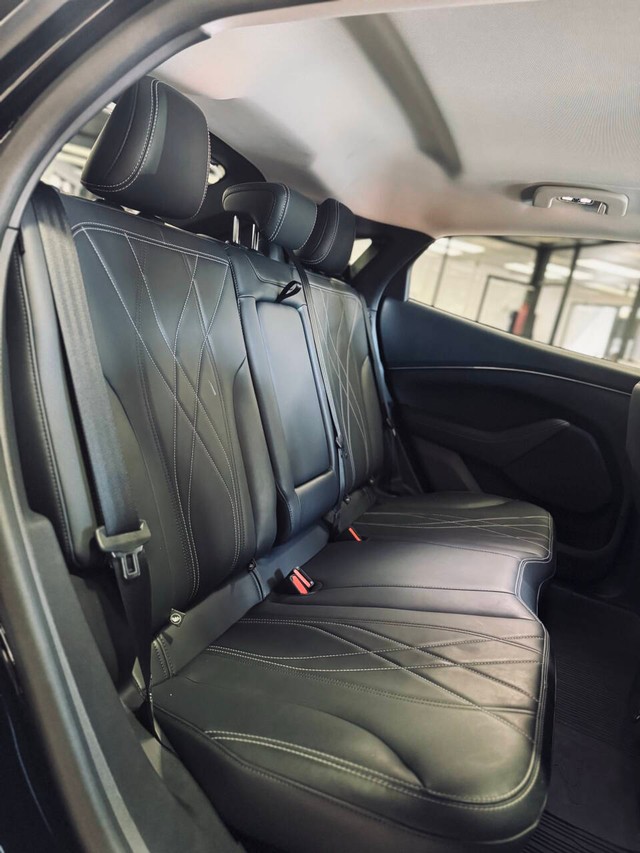 Ford Mustang Mach-E Vehicle Full-screen Gallery Image 16