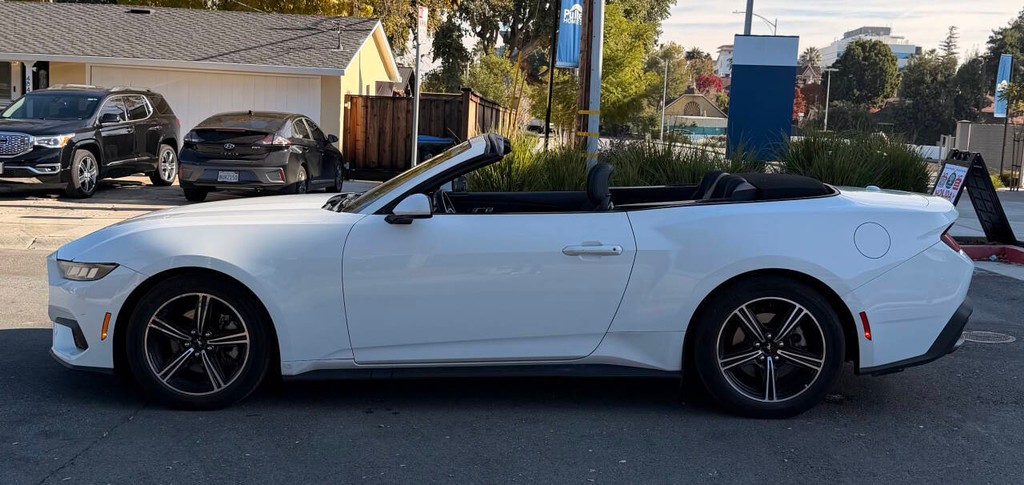 Ford Mustang Vehicle Full-screen Gallery Image 05