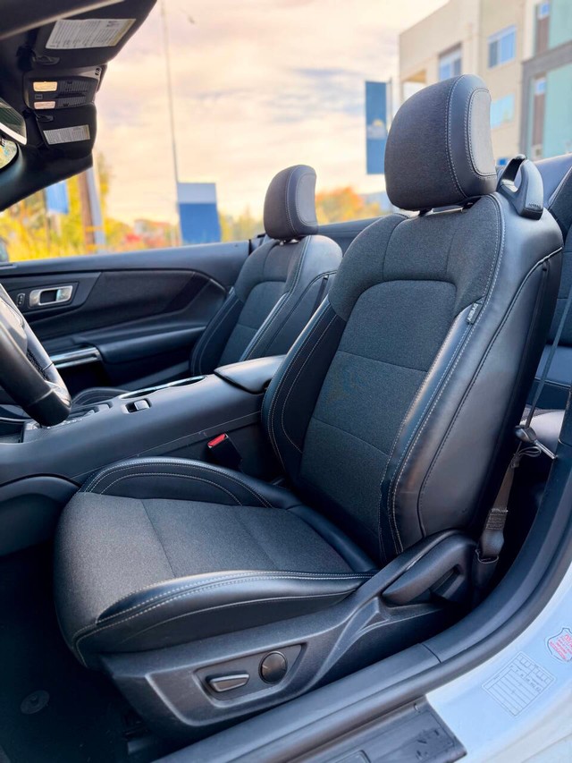 Ford Mustang Vehicle Full-screen Gallery Image 12