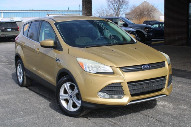 Used 2014 Ford Escape SE with VIN 1FMCU0GX5EUD72207 for sale in Jerseyville, IL