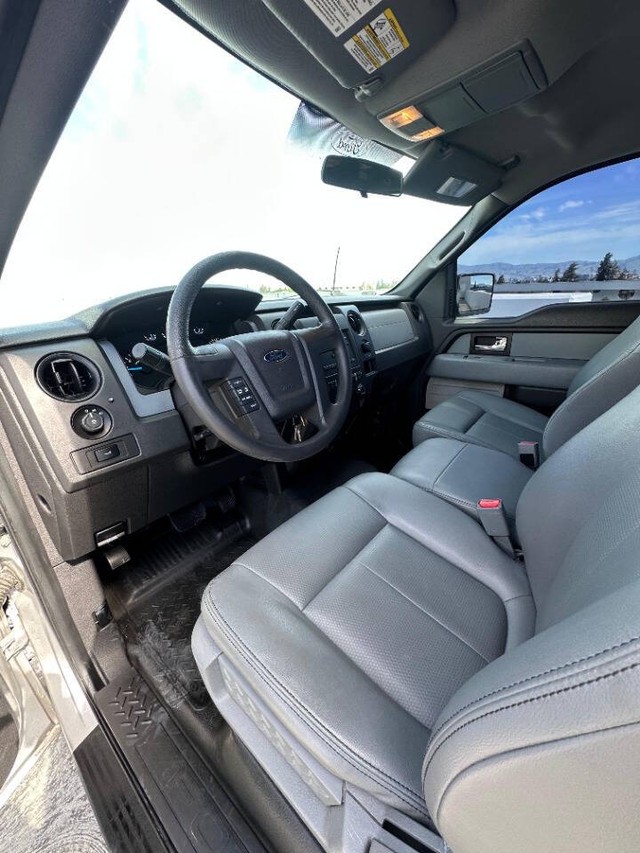 Ford F-150 Vehicle Full-screen Gallery Image 14