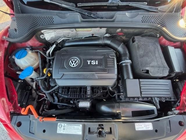 Volkswagen Beetle Coupe Vehicle Image 21