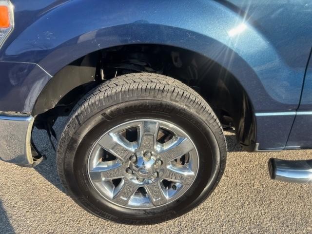 Ford F-150 Vehicle Image 09