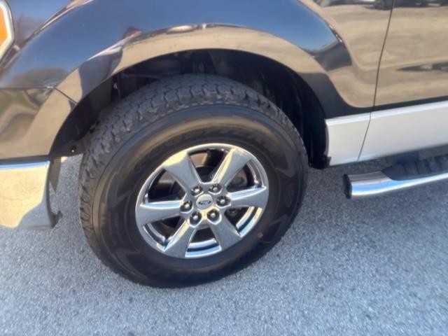 Ford F-150 Vehicle Image 09