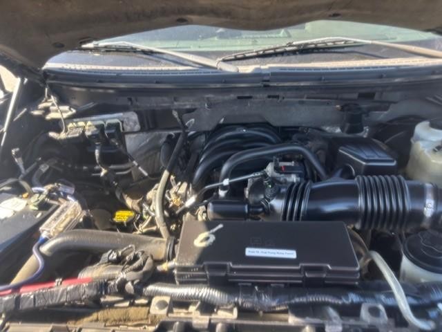Ford F-150 Vehicle Image 20