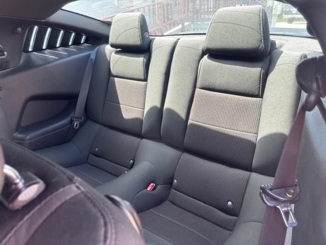 Ford Mustang Vehicle Image 14