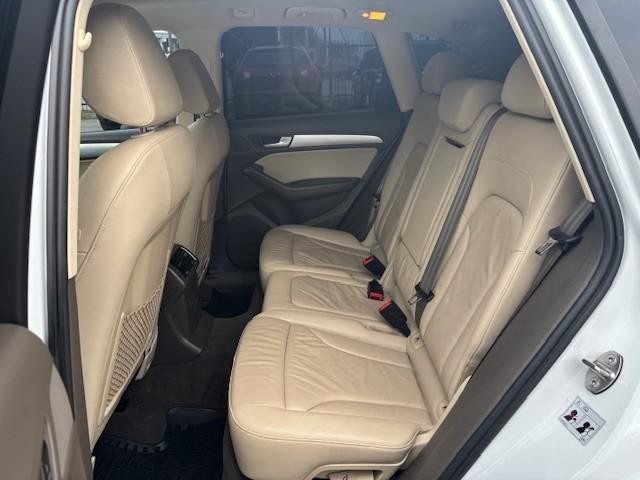 Audi Q5 Vehicle Image 14