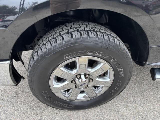 Ford F-150 Vehicle Image 09