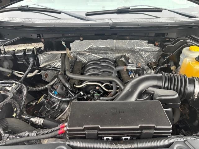 Ford F-150 Vehicle Image 20