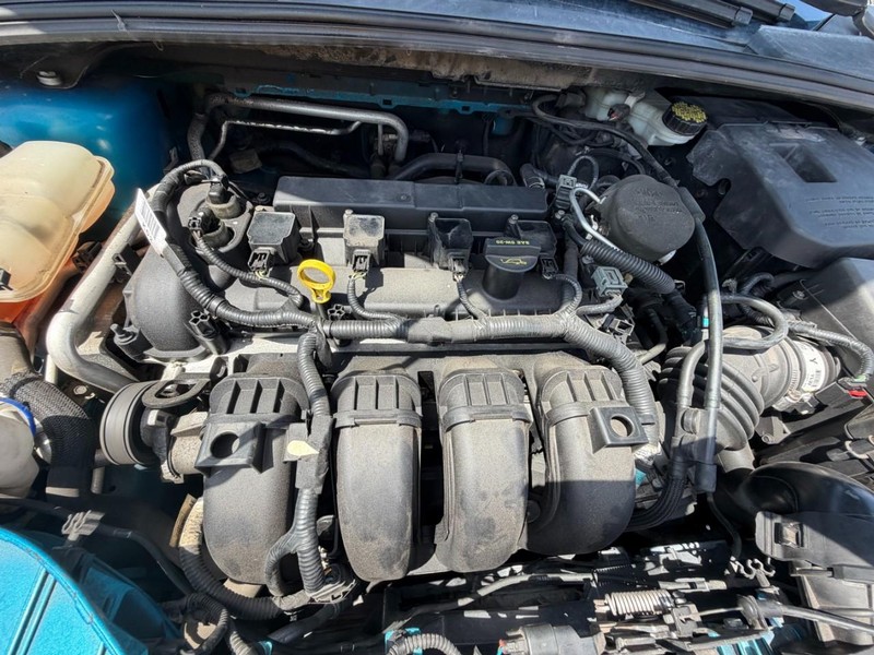 Ford Focus Vehicle Image 09