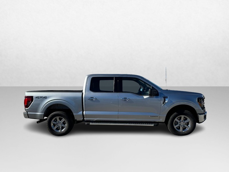 Ford F-150 Vehicle Full-screen Gallery Image 04