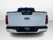 2024 Ford F-150 XLT 4WD SuperCrew Box thumbnail image 06