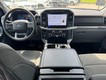 2024 Ford F-150 XLT 4WD SuperCrew Box thumbnail image 09