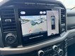 2024 Ford F-150 XLT 4WD SuperCrew Box thumbnail image 24
