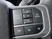 2024 Ford F-150 XLT 4WD SuperCrew Box thumbnail image 19