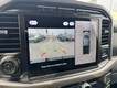 2024 Ford F-150 XLT 4WD SuperCrew Box thumbnail image 24