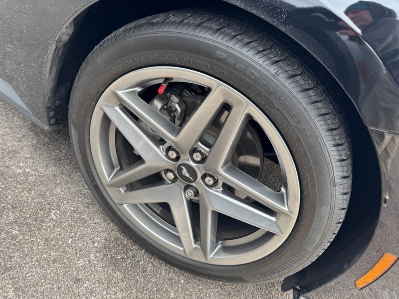 Ford Mustang Vehicle Full-screen Gallery Image 04