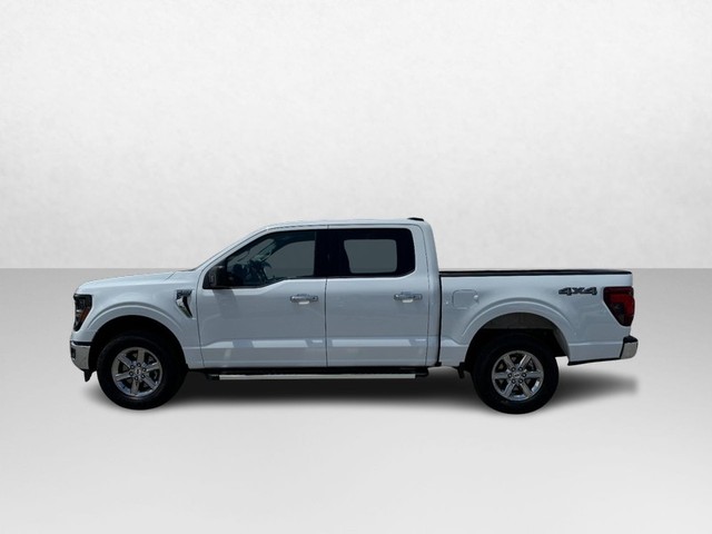 2025 Ford F-150 XLT thumbnail image 08