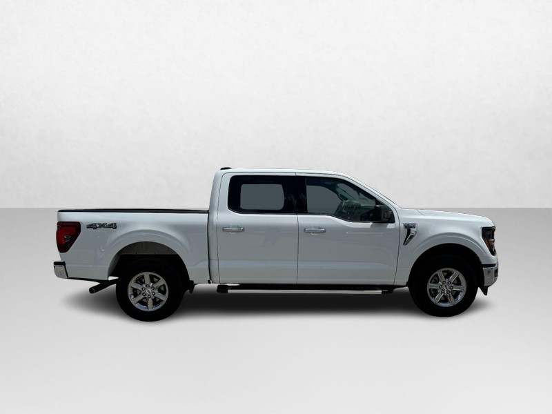 Ford F-150 Vehicle Full-screen Gallery Image 04