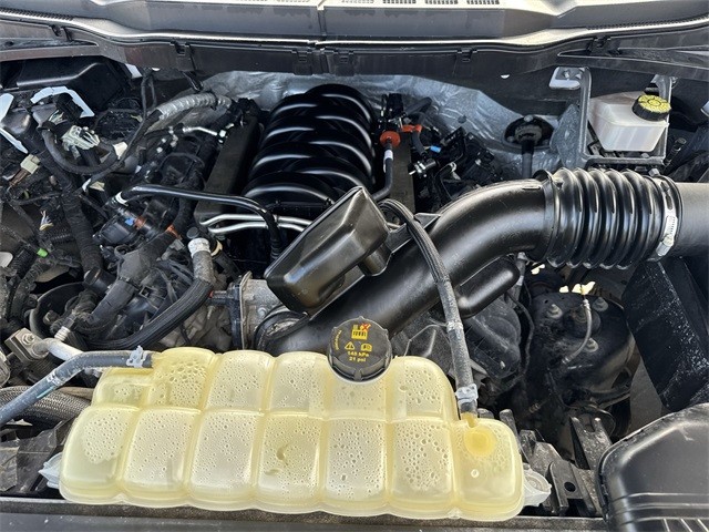 Ford F-150 Vehicle Full-screen Gallery Image 32